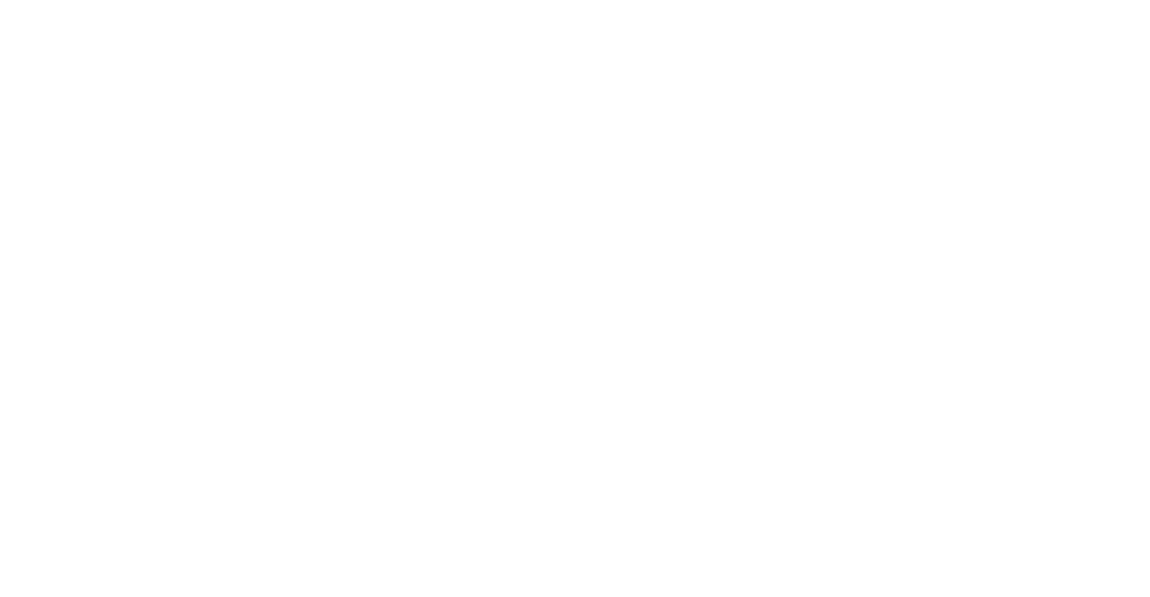 40 logo