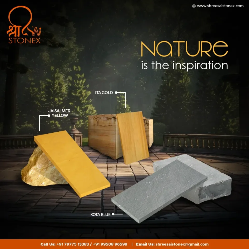 Advantus graphic design portfolio project